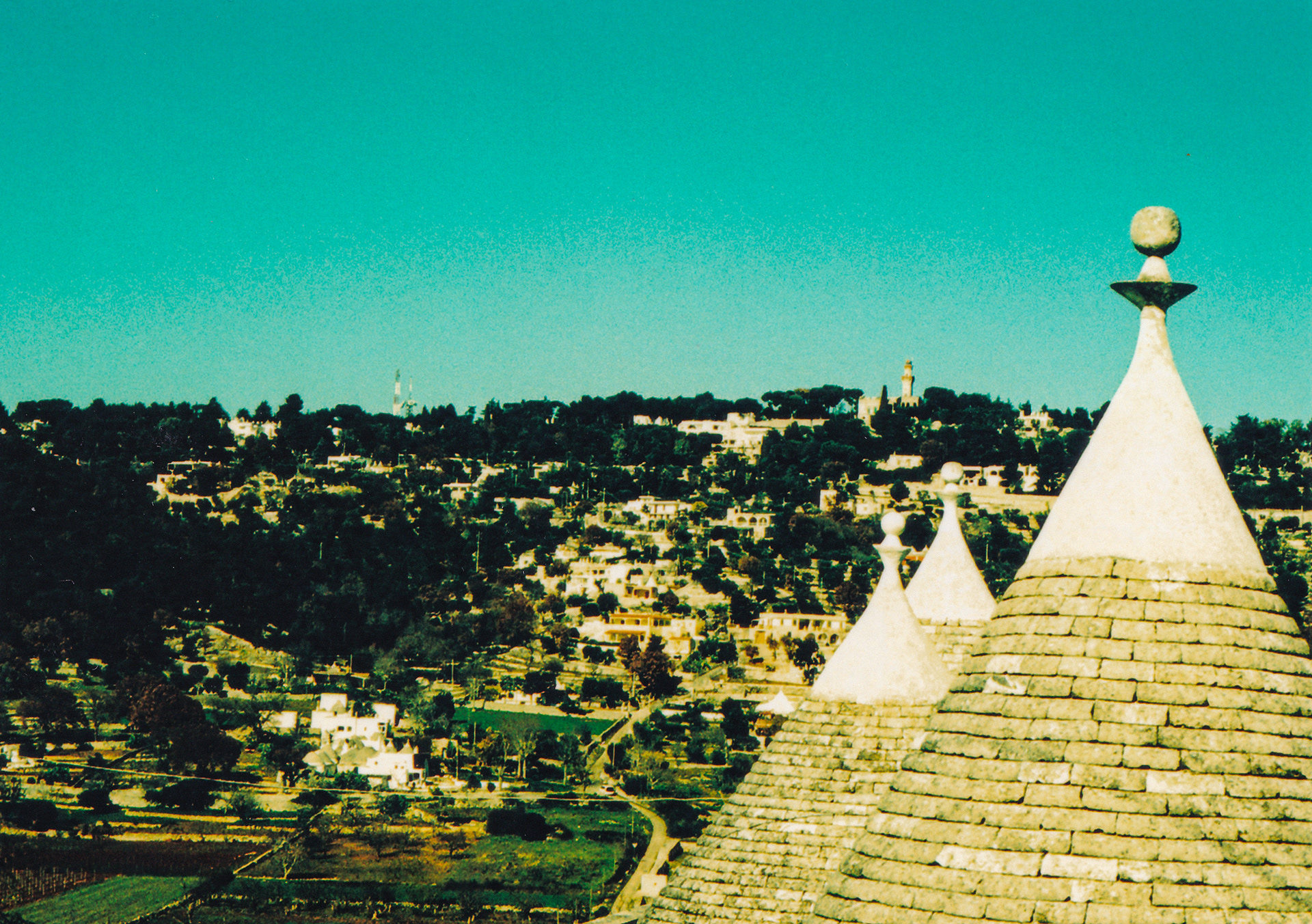 Cocolicchio, shot with Ricoh Shotmaster Zoom 35mm and Fuji Provia 100F