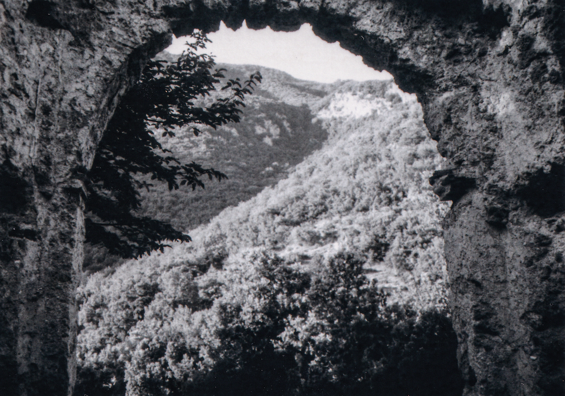 Through Nature, shot with Ricoh Shotmaster Zoom and Ilford SFX 200.