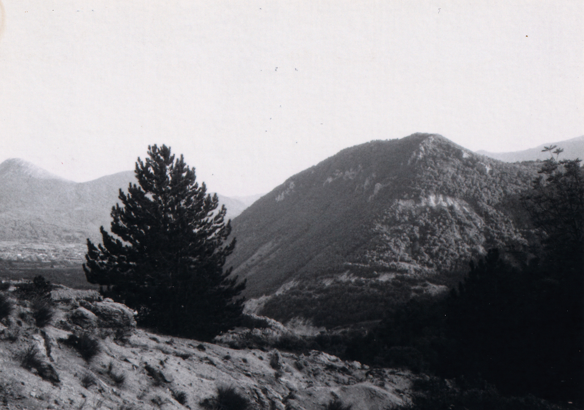 Still, shot with Ricoh Shotmaster Zoom and Ilford SFX 200.
