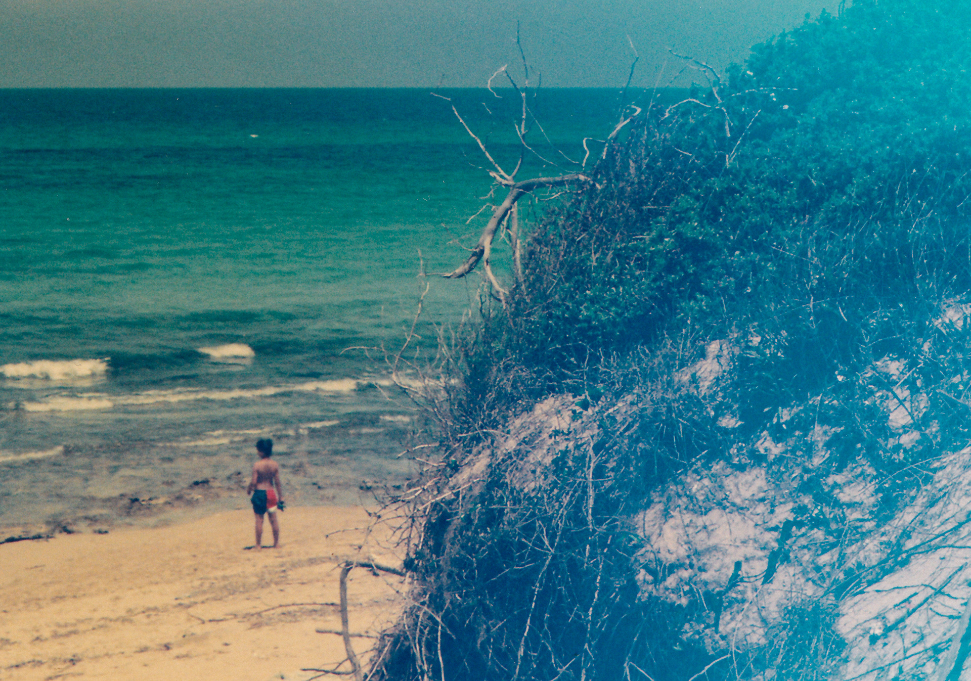 All That Blue, shot with Ricoh Shotmaster Zoom and Revolog Kolor.