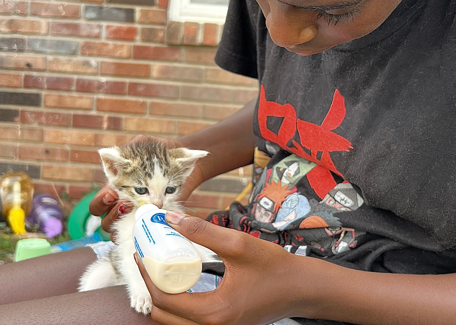 Compassion is empathy in action.