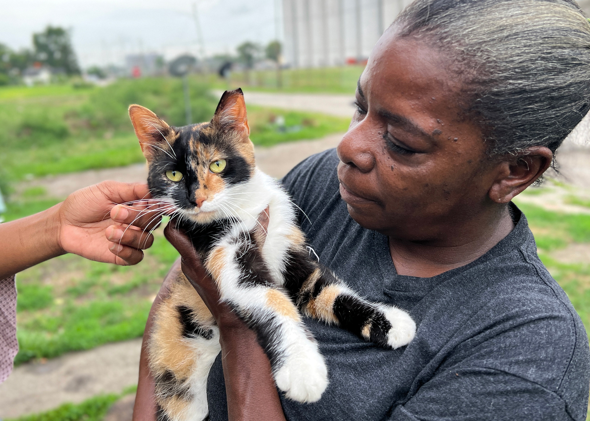 Neighbors who spay/neuter/vaccinate community cats are taking responsibility, acting humanely, and taking a positive action instead of doing nothing at all.
