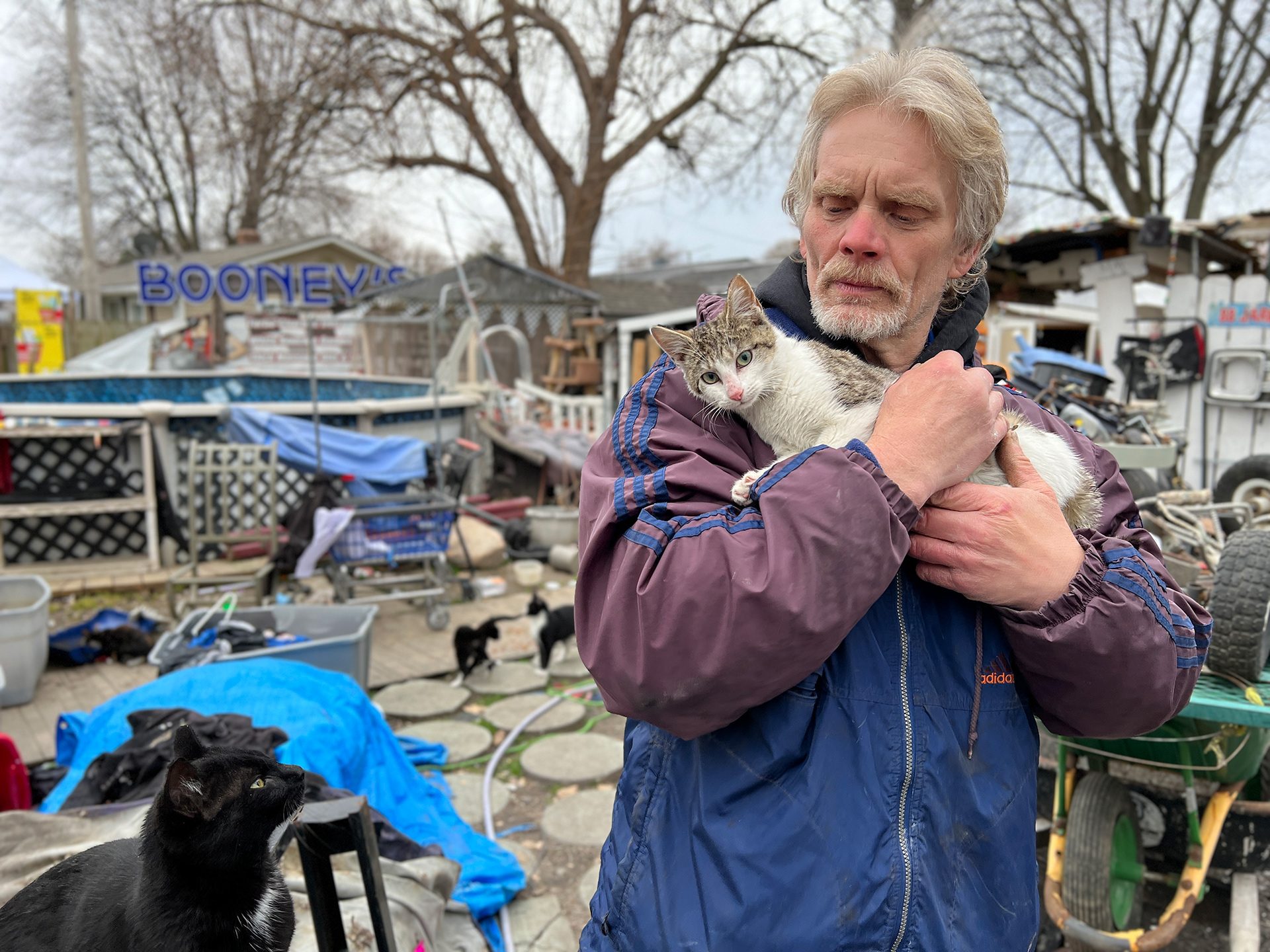 People who care for community cats often develop as strong of bonds as many traditional pet/pet owner relationships.