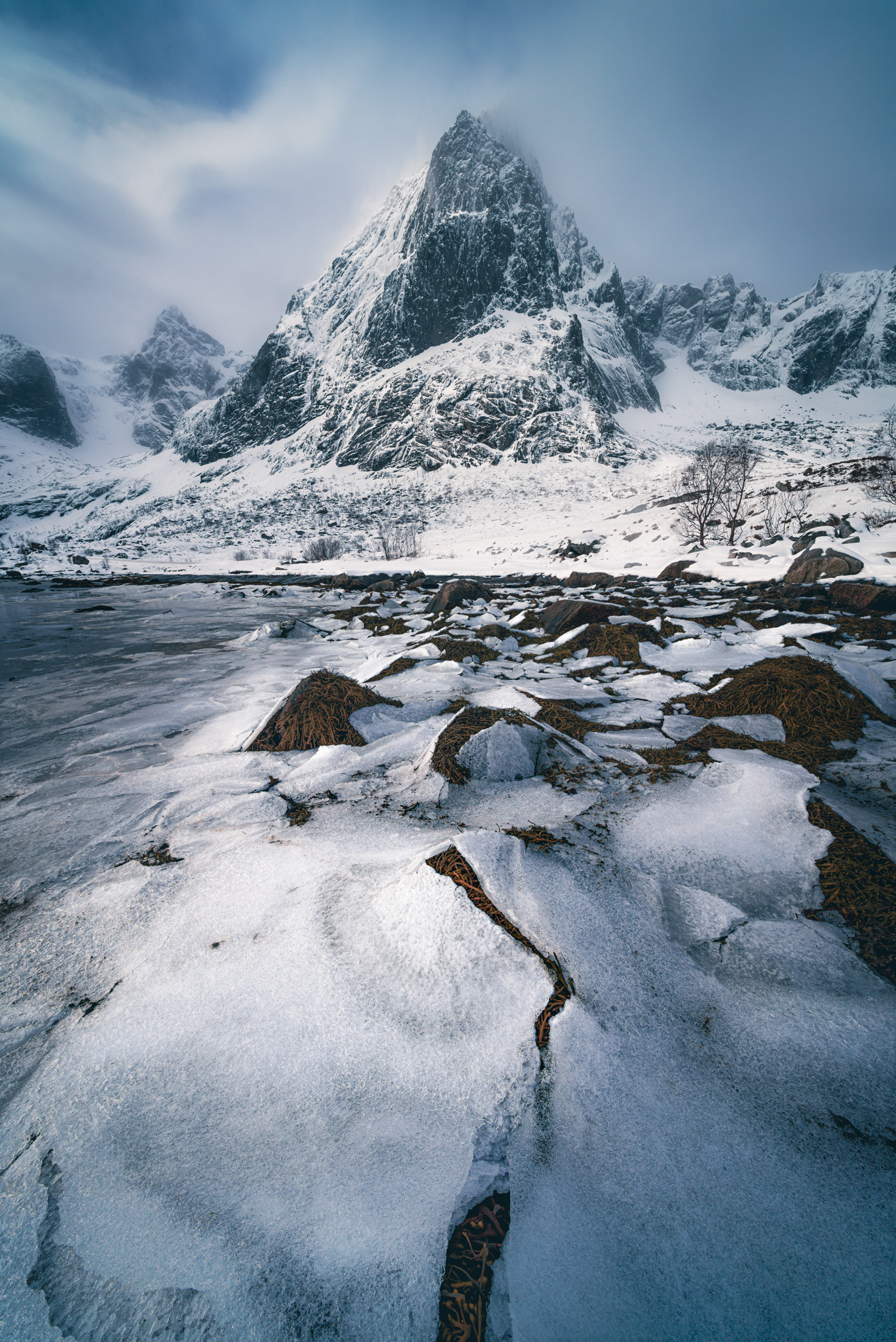 After the tide receded, seaweed was left exposed on the shoreline. A layer of snow settled on top and began to freeze. While the sea in Lofoten stays just above freezing all winter thanks to the Gulf Stream, the exposed shoreline cools rapidly under Arctic air.