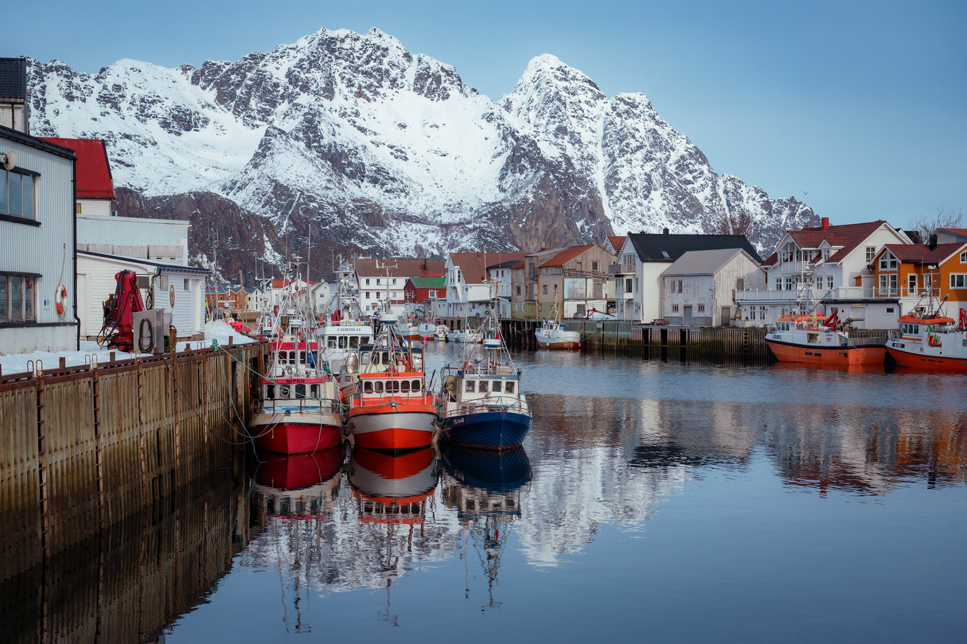 Colorful life in the arctic.