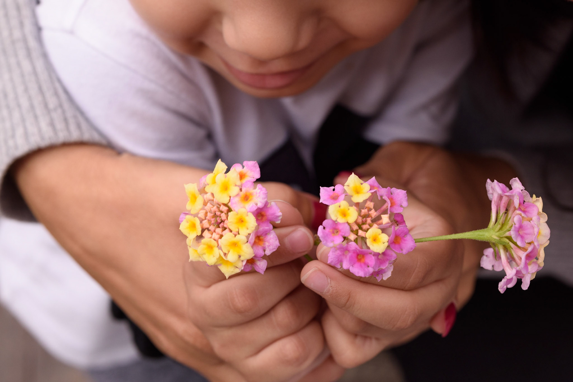 Sheik Jarrah, Jerusalem
