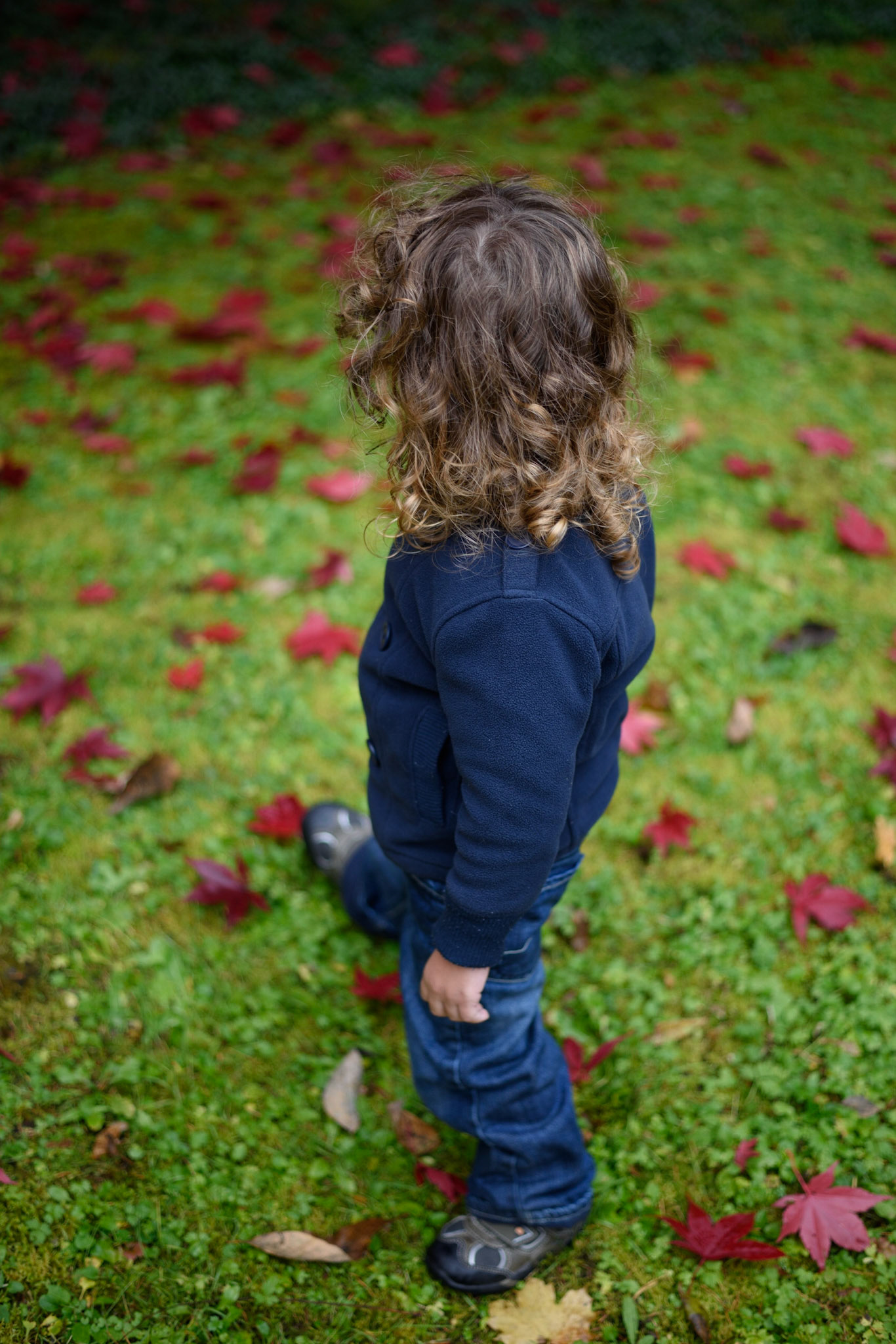 New Hartford, New York