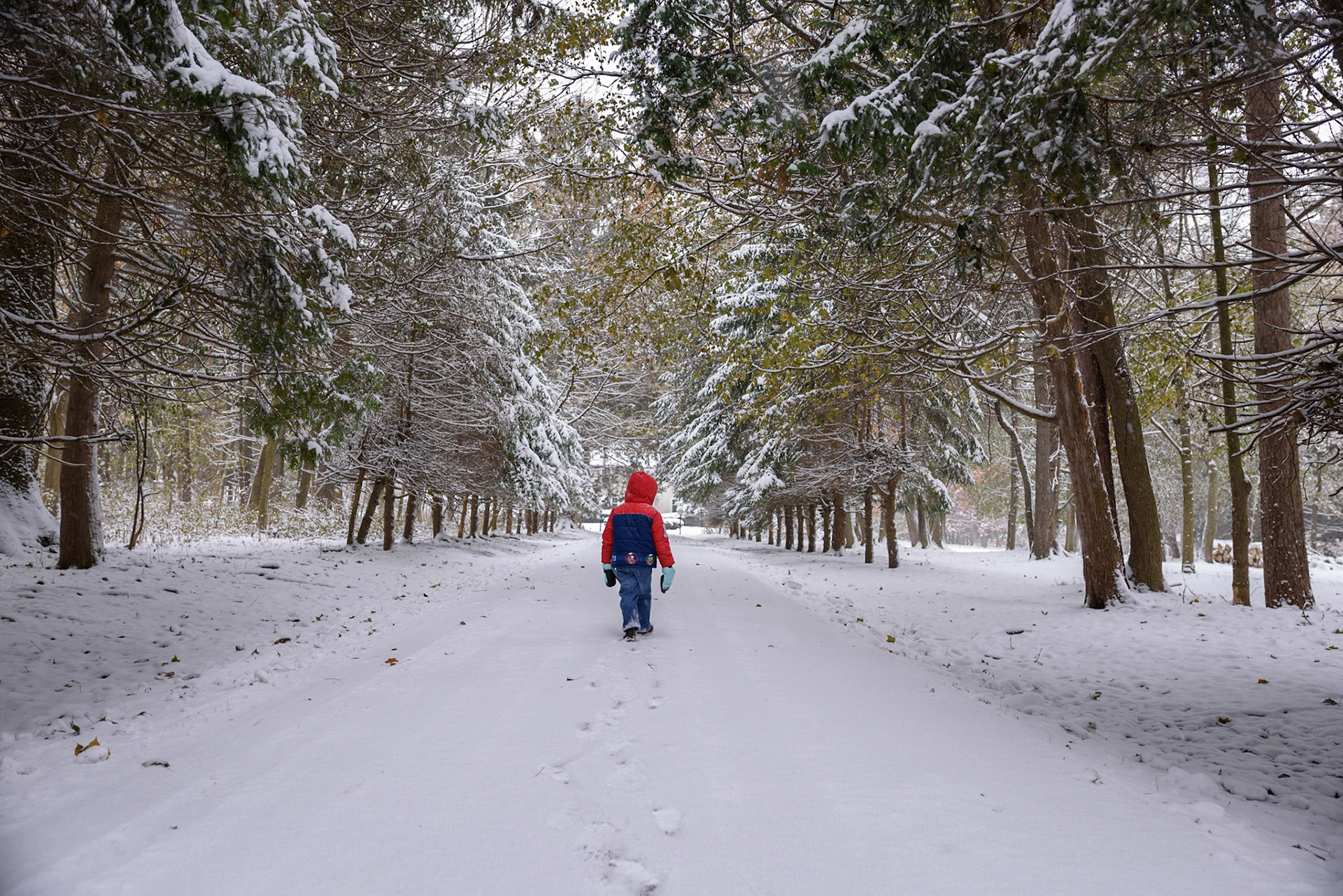 New Hartford, New York