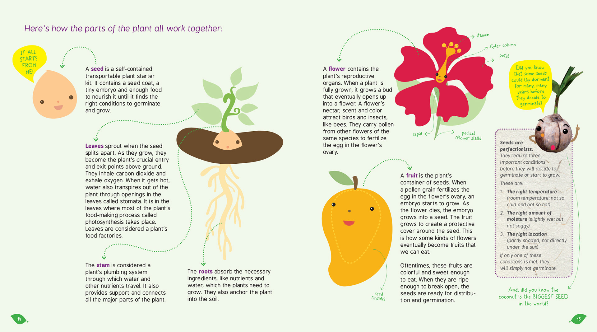 How to know that. Parts of a Seed Plant. How do Plants grow. How to grow a Plant. How to grow a Seed into a Plant.