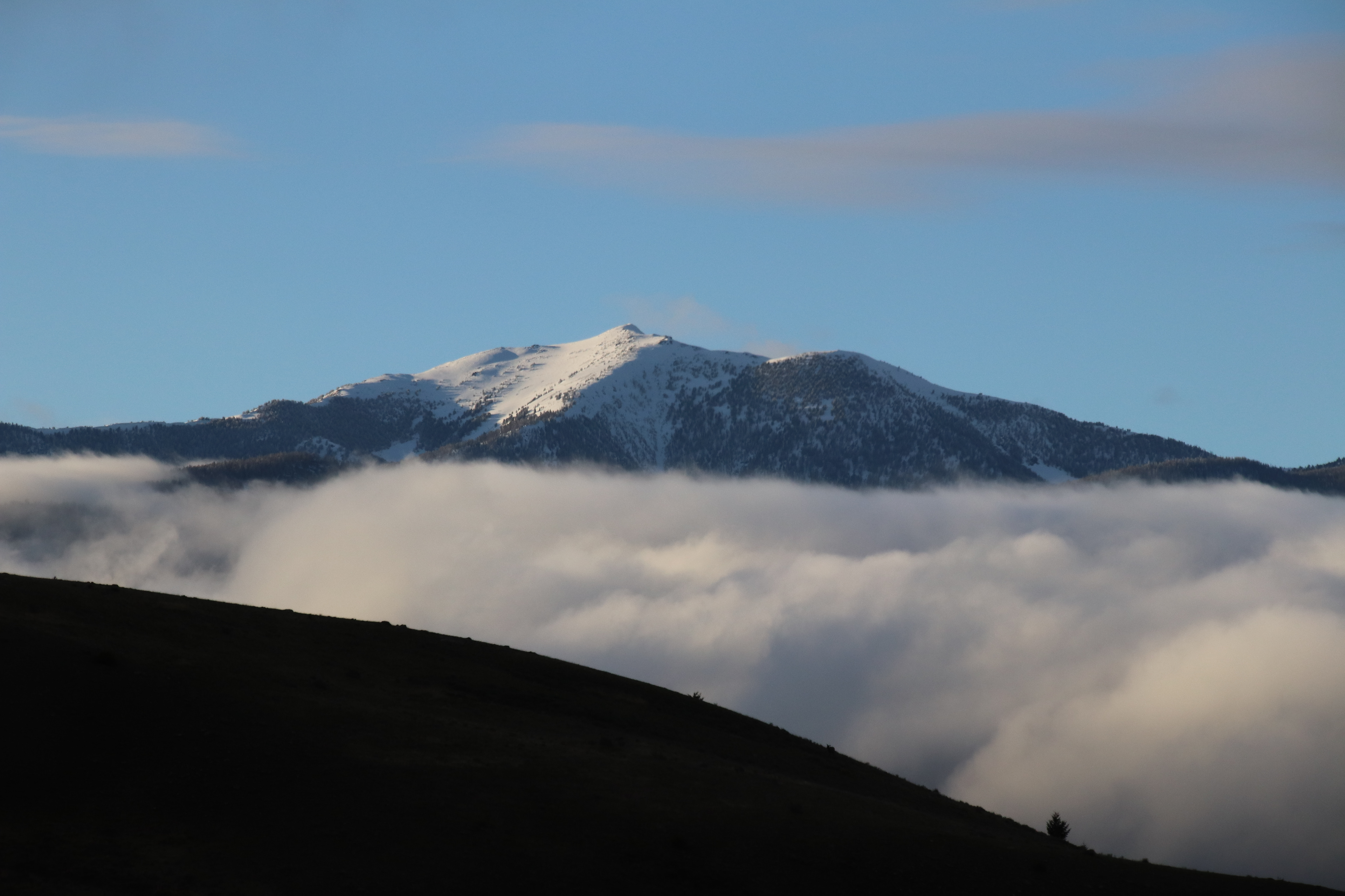 Yellowstone/Jackson Hole, WY