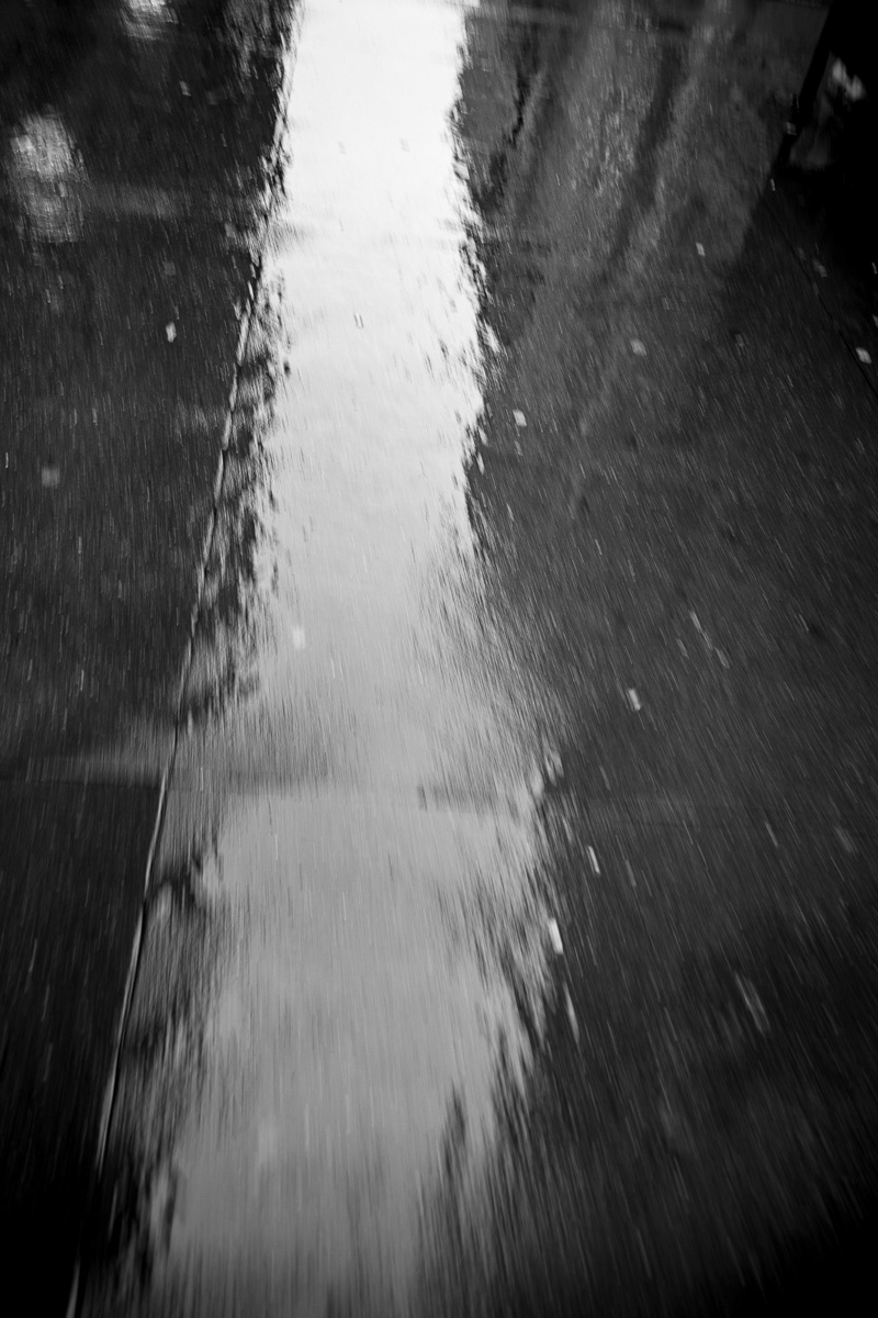 New York City, USA. 2022