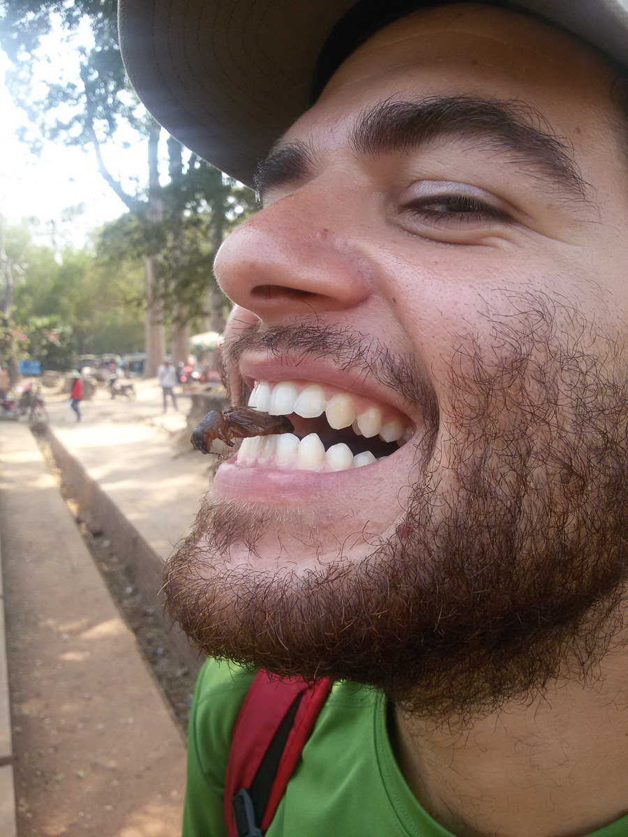 Grillo (o almeno credo). Cambogia, 2015