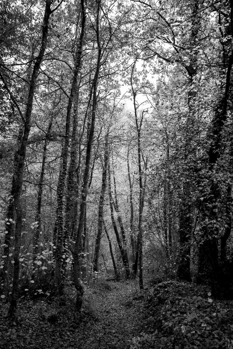 Sassi di Roccamalatina, Italia. 2020