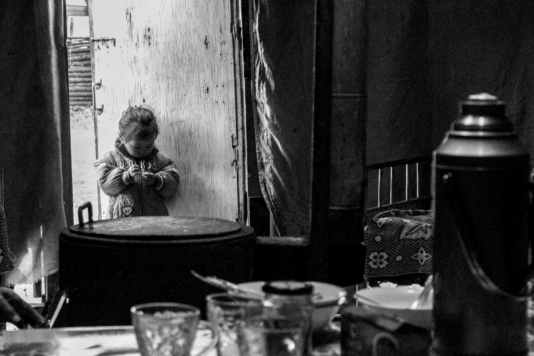 Gorkhi-Terelj National Park, Mongolia. 2015.