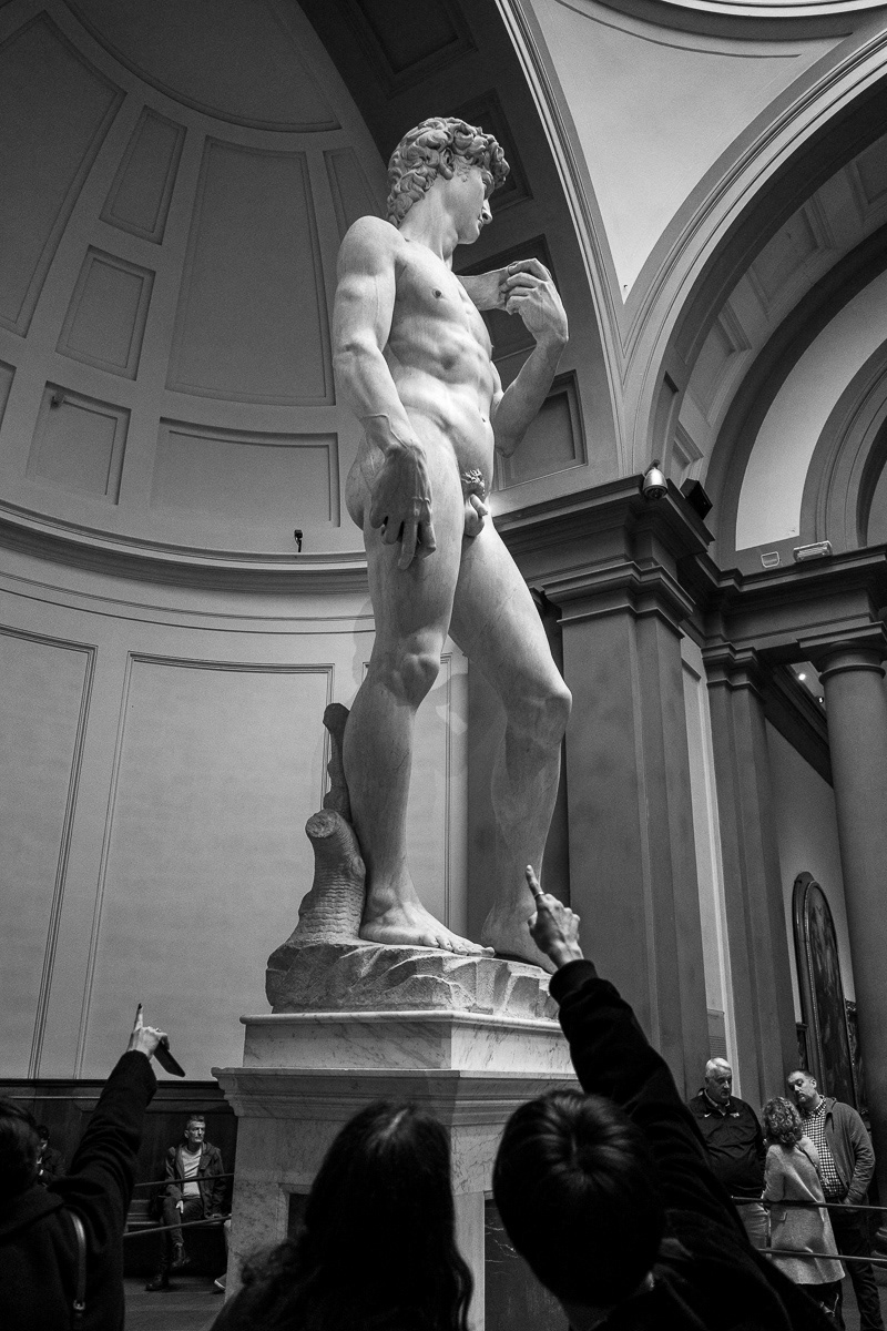 David di Michelangelo. Firenze