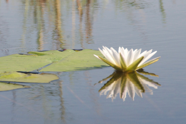 ChobeNationalPark_Botswana