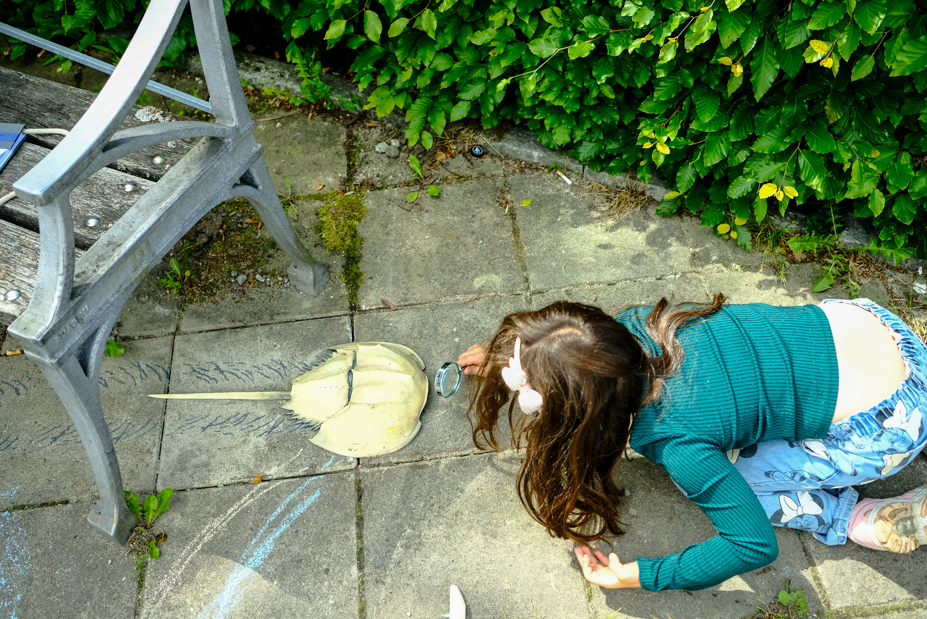 Chanel (seven years old) made a surprising discovery—a snake sleeping inside the sculpture!