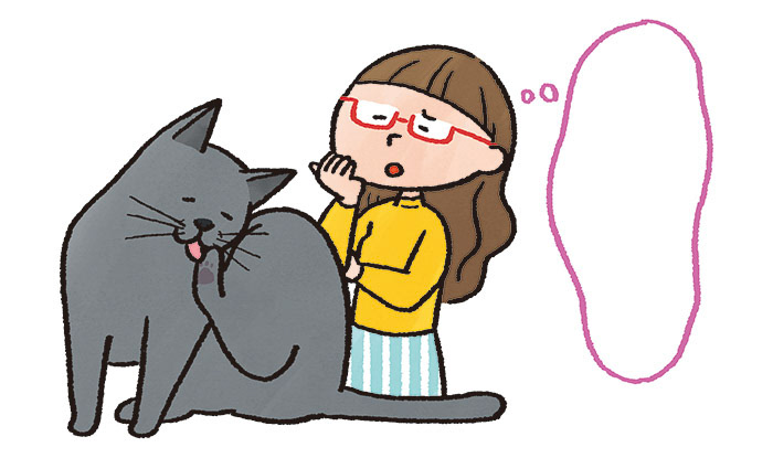 「ねこのきもち」2024年5月号 特集挿絵