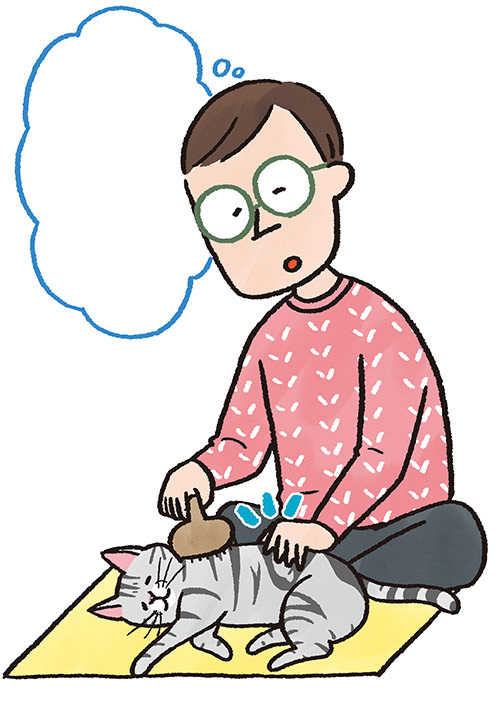 「ねこのきもち」2024年5月号 特集挿絵