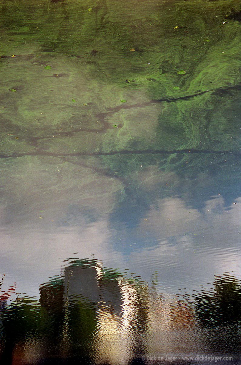 reflectie