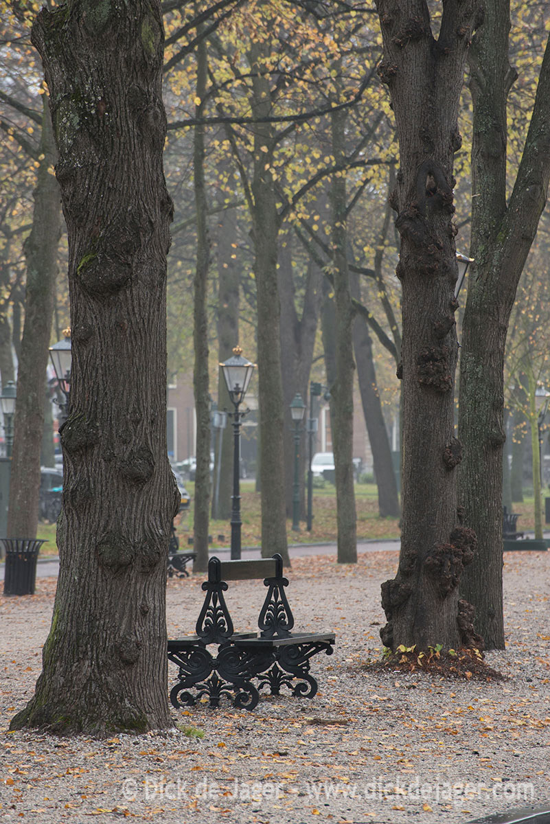 Lange Voorhout - Den Haag