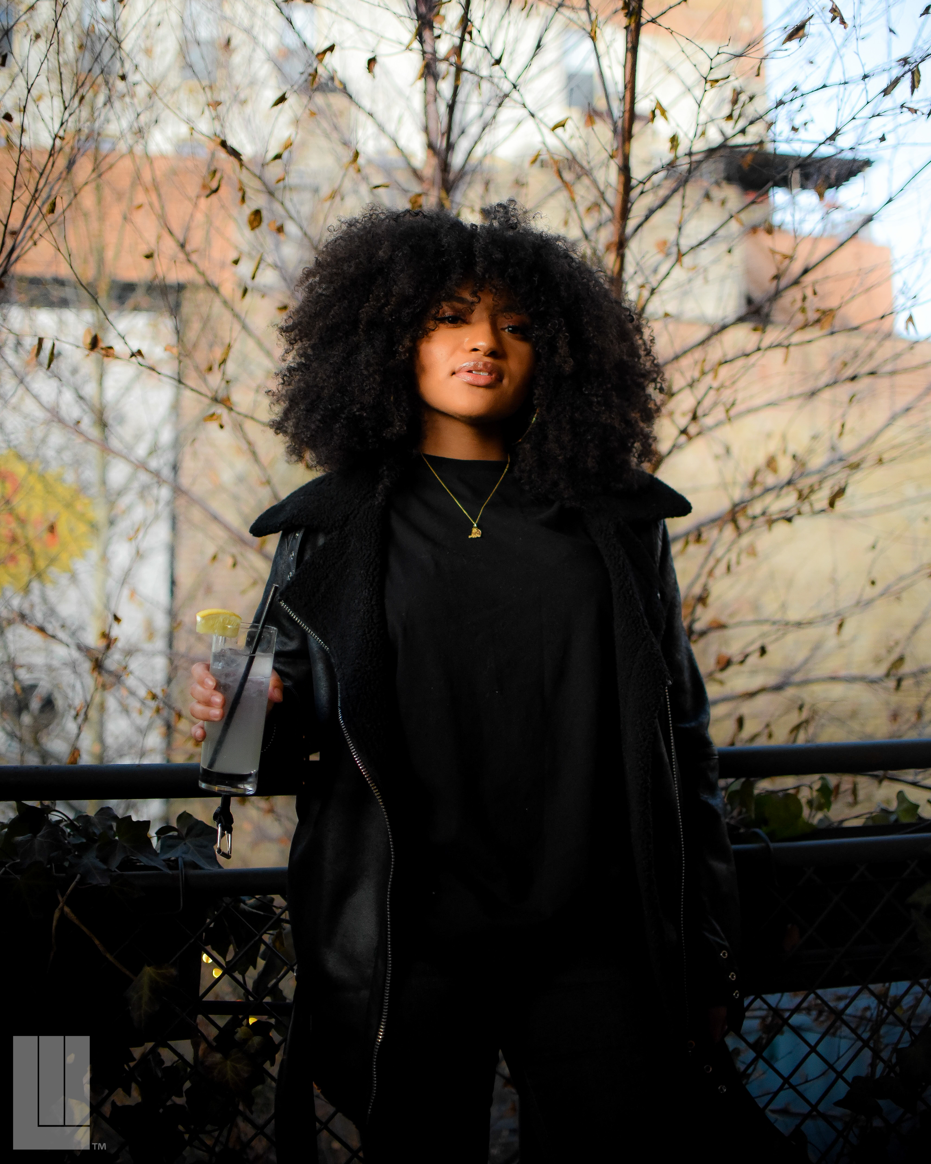 BRUNCH AT THE DAWSON CHICAGO