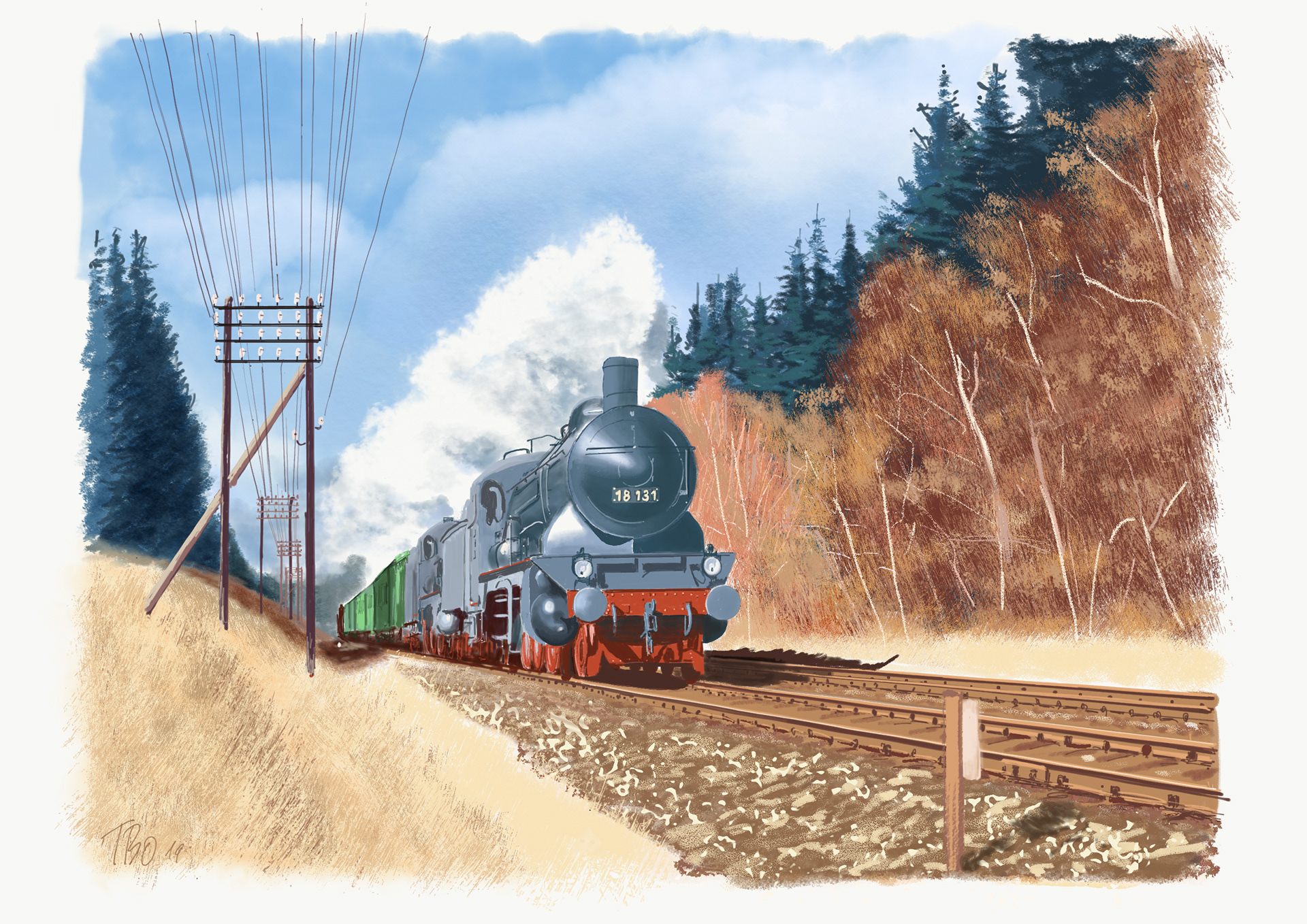 18 131 Rohrer Wald