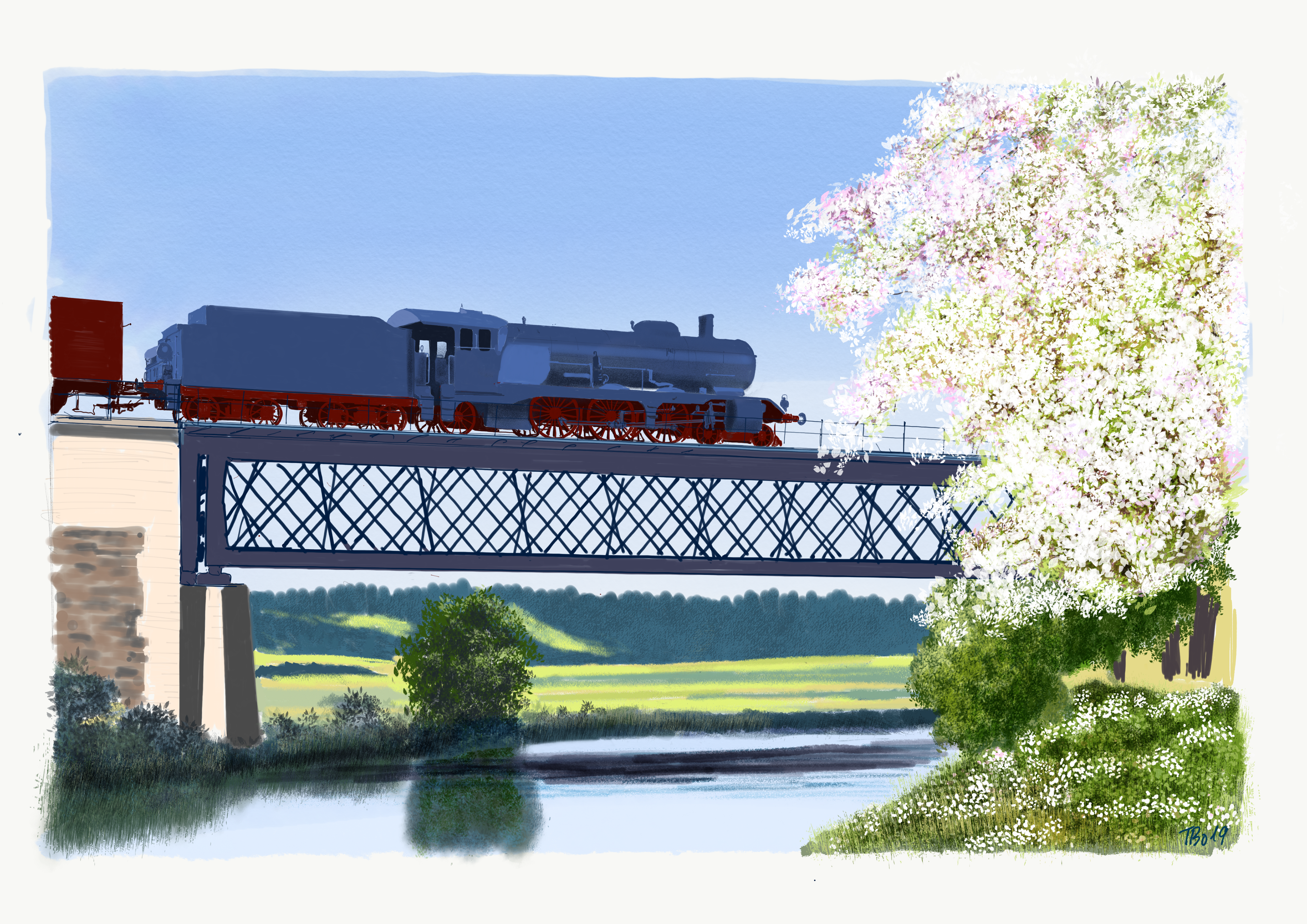 Apple blossom on the Brenz bridge