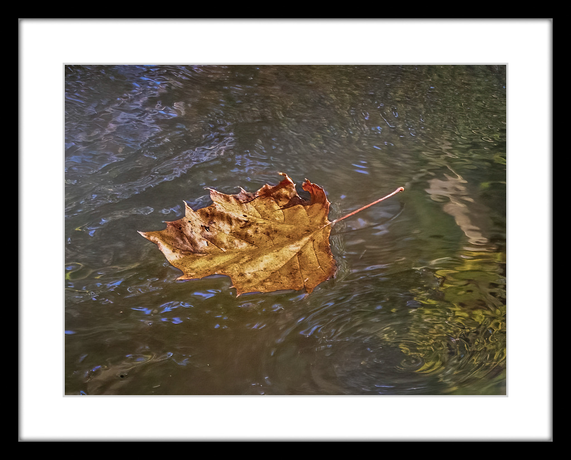9044 Leaf