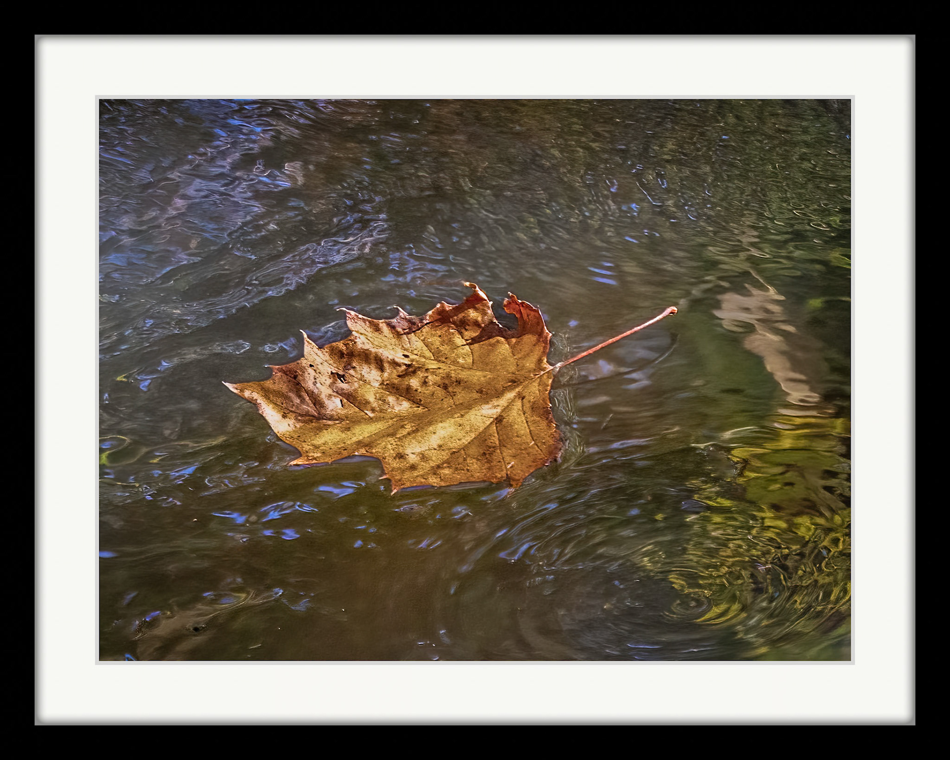 9044 Leaf
