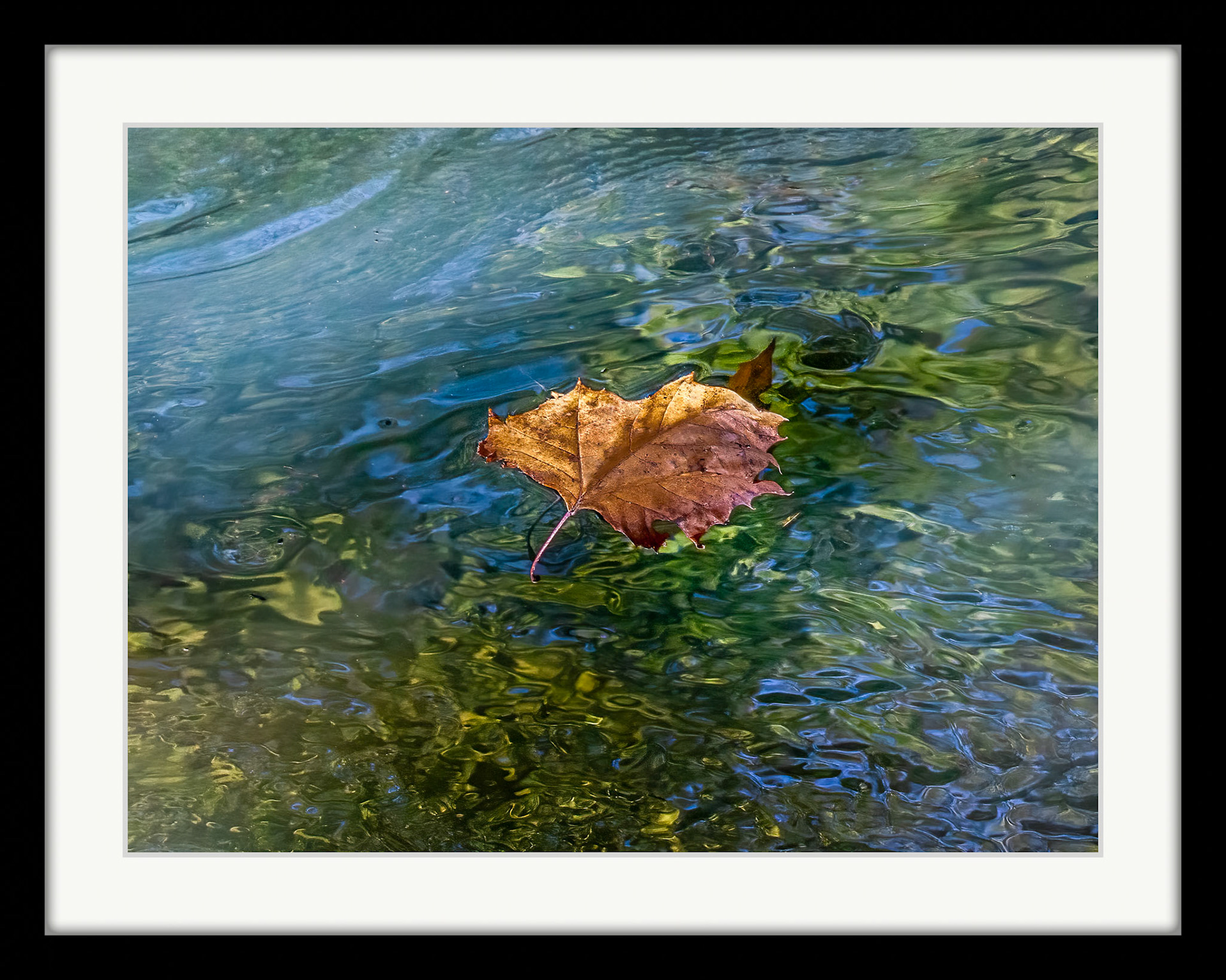 9051 Leaf