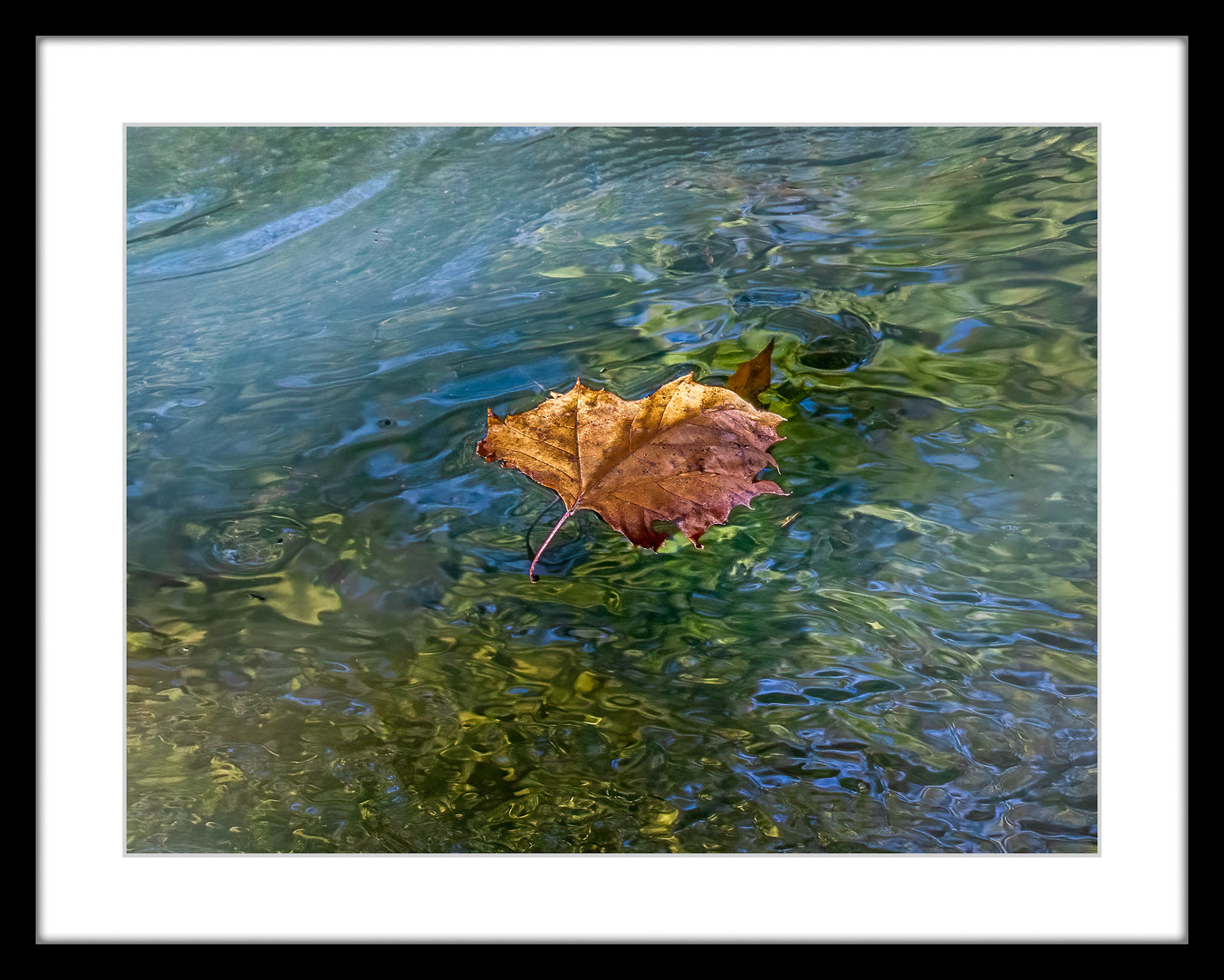 9051 Leaf