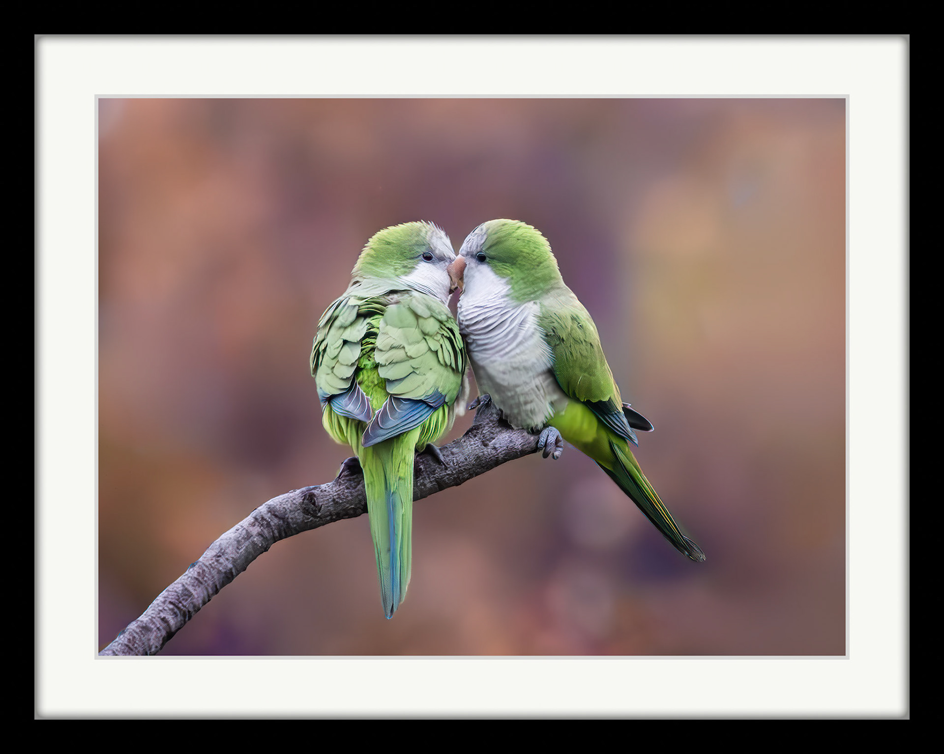 0207 Love Birds