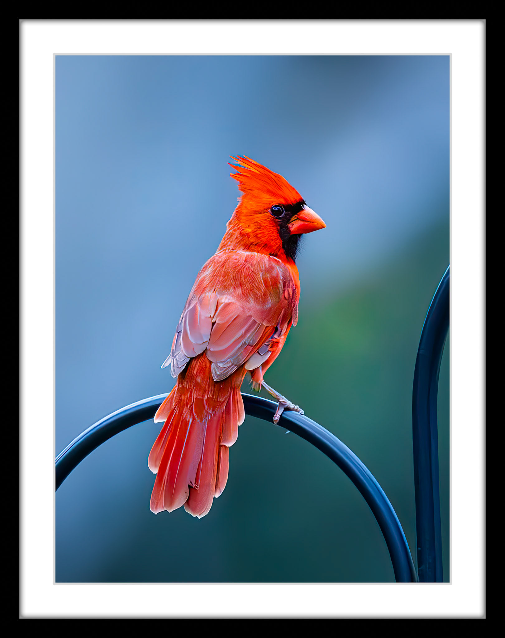 5474 Cardinal