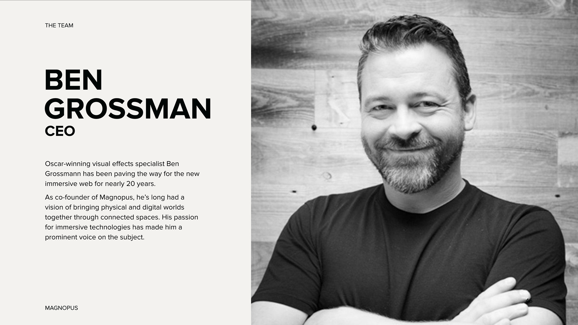 MAGNOPUS Pitch Deck "Profile Highlight" Slide Sample
