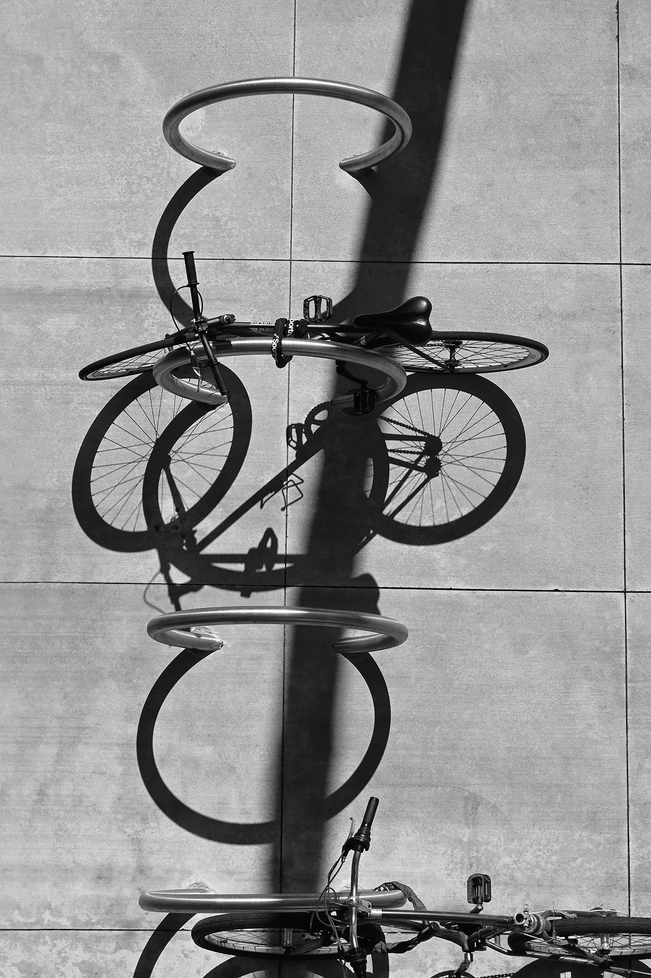 Bicycle Rack from overhead, Long Beach, black and white photograph
