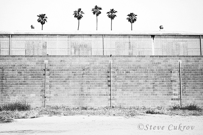5 Palms - Ventura