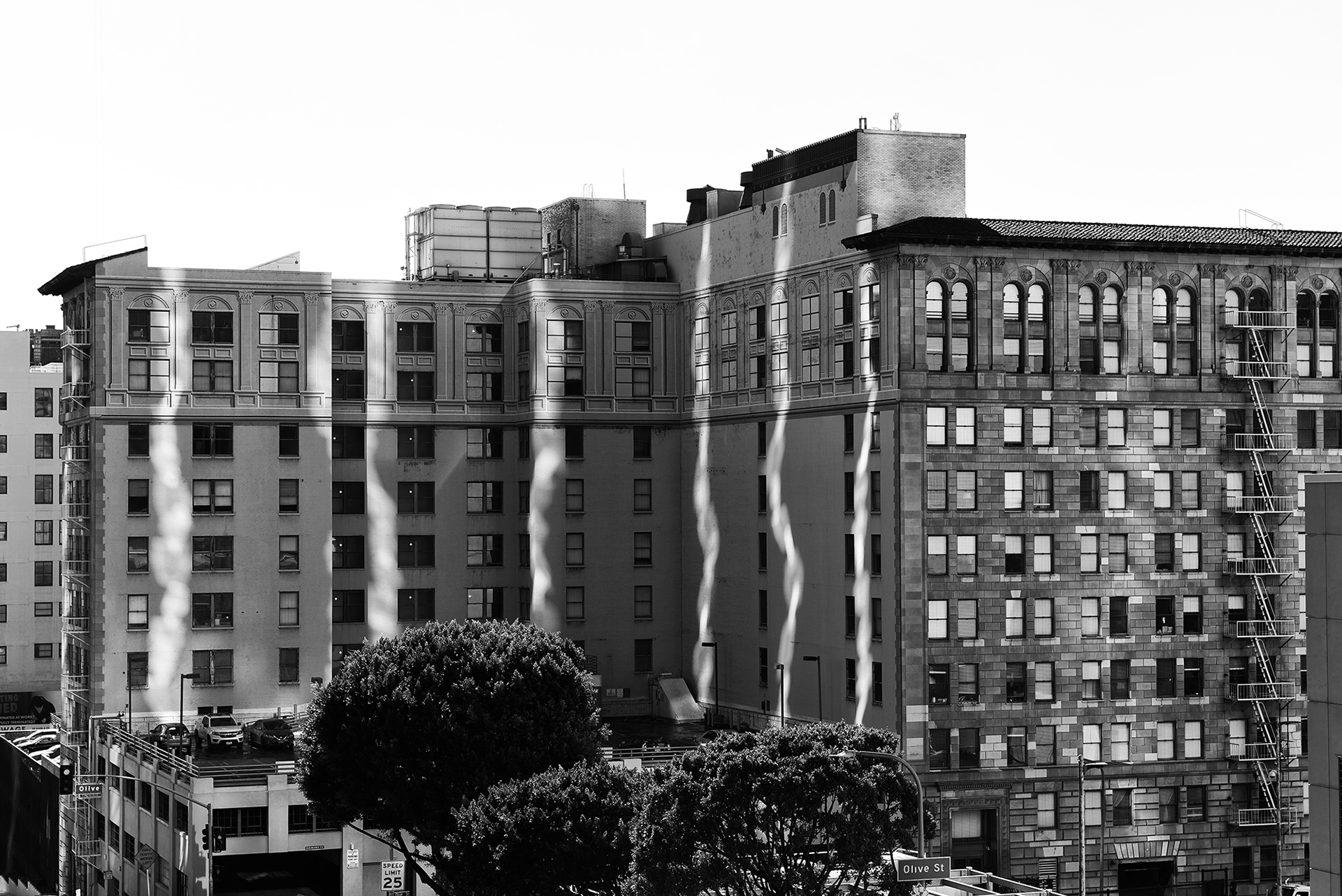Olive Street Reflections