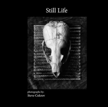 Still Life - A book of color and black and white still life photographs by author / photographer Steve Cukrov