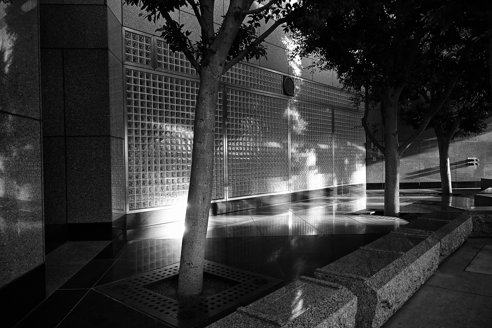 Late Afternoon Sunlight on Glass Brick building, black and white photograph