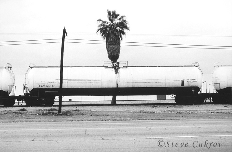 Tank Car & Palm - Los Angeles