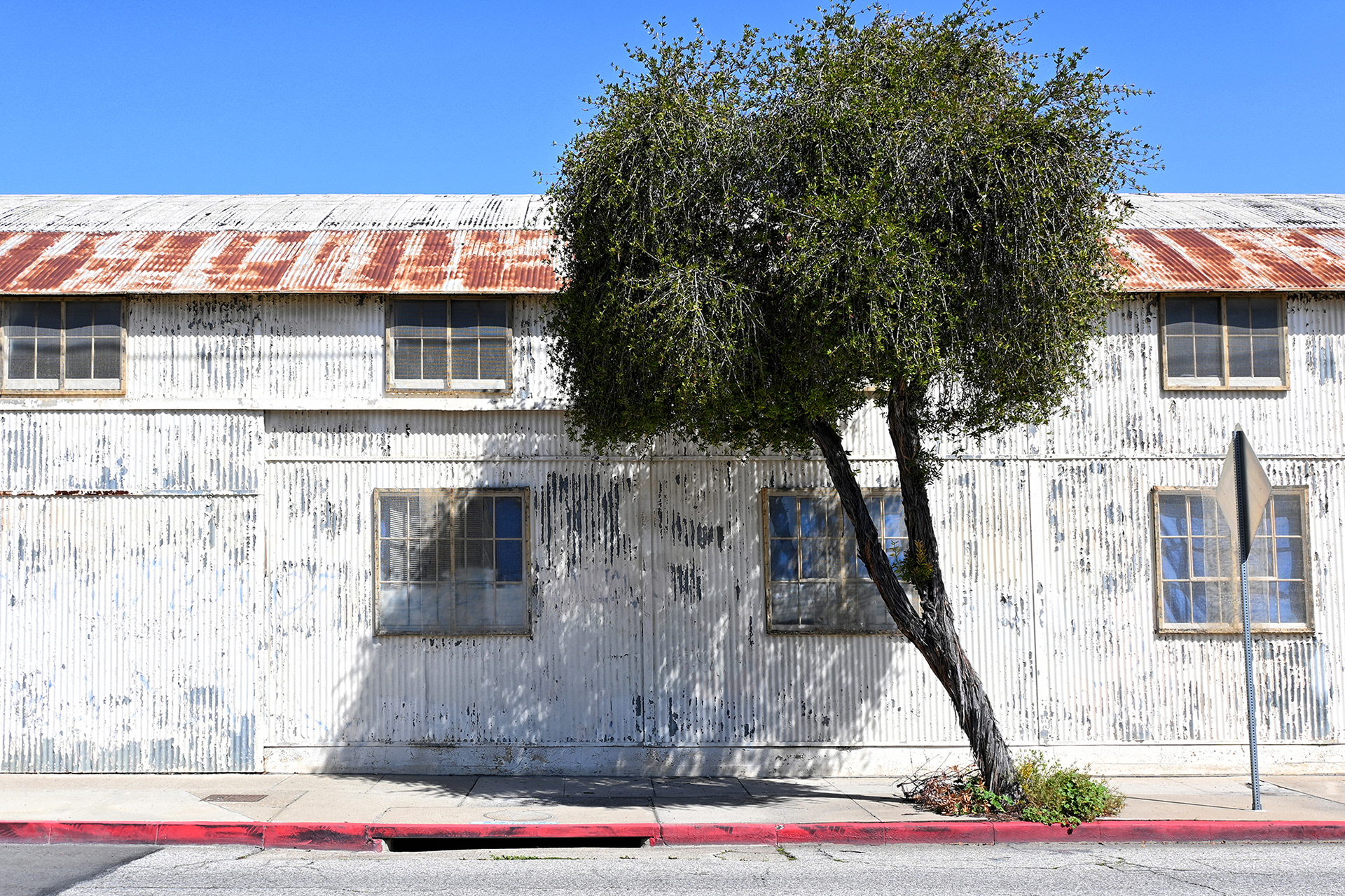 Metal Building & Tree, Orange
