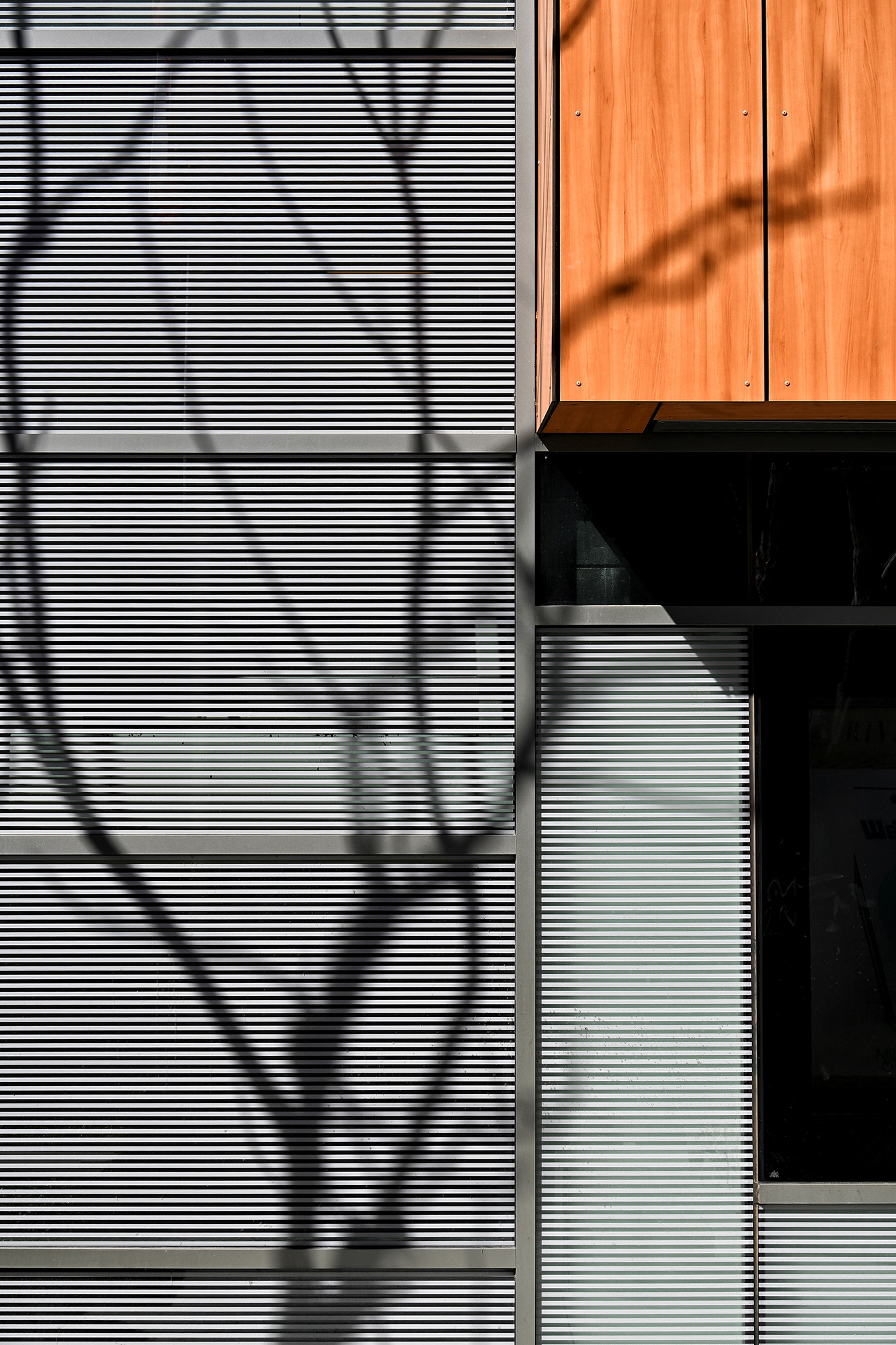 Trees shadow on the gray and orange Performing Arts Building, Downtown, Riverside.