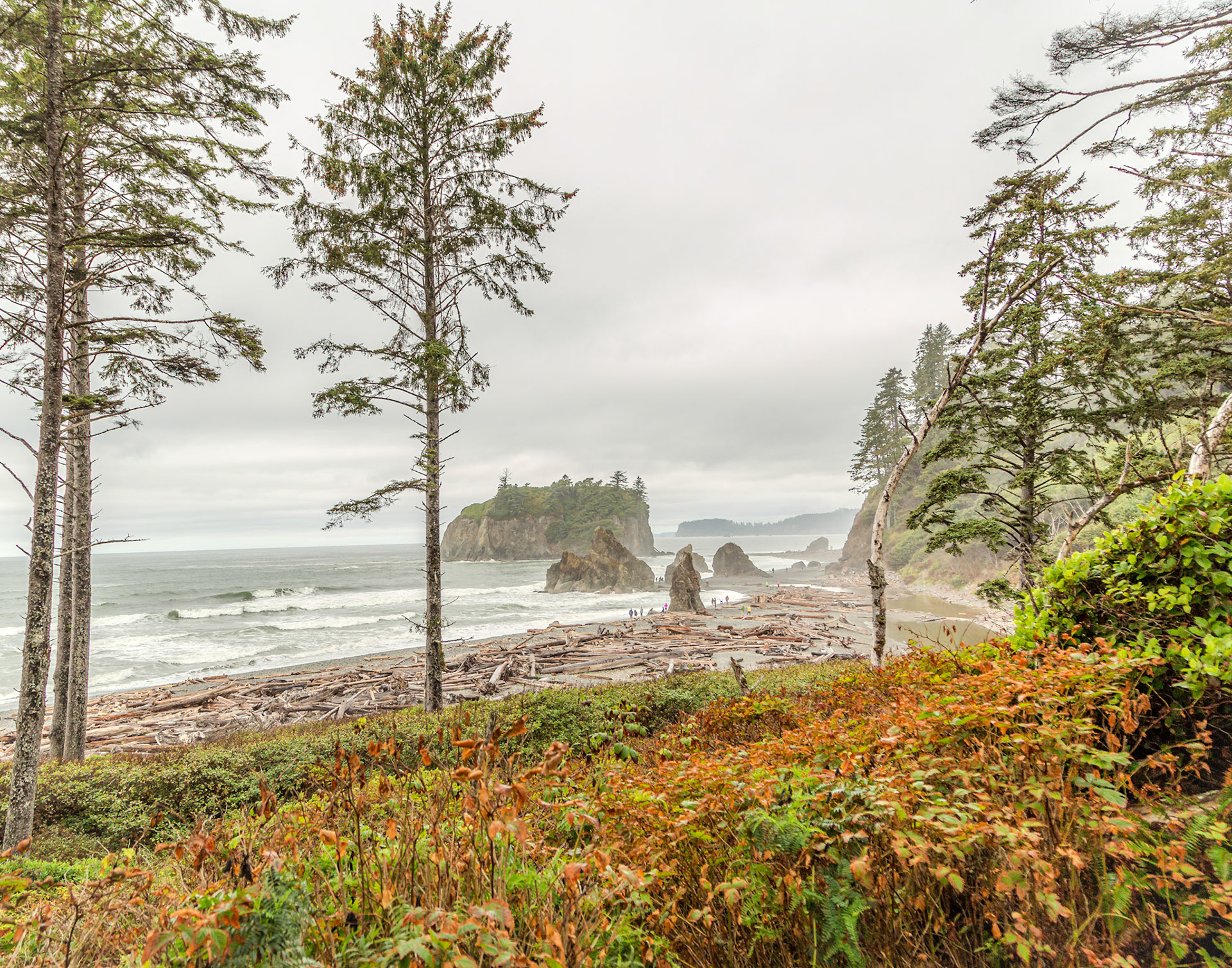 Olympic National Park