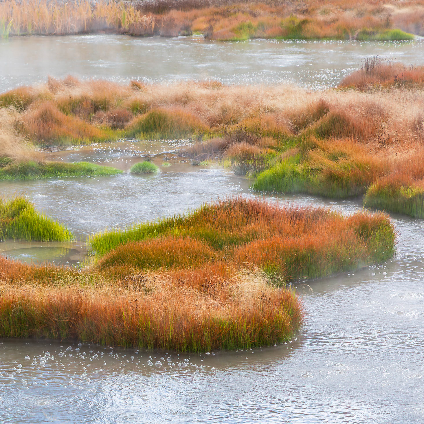 Yellowstone National Park 