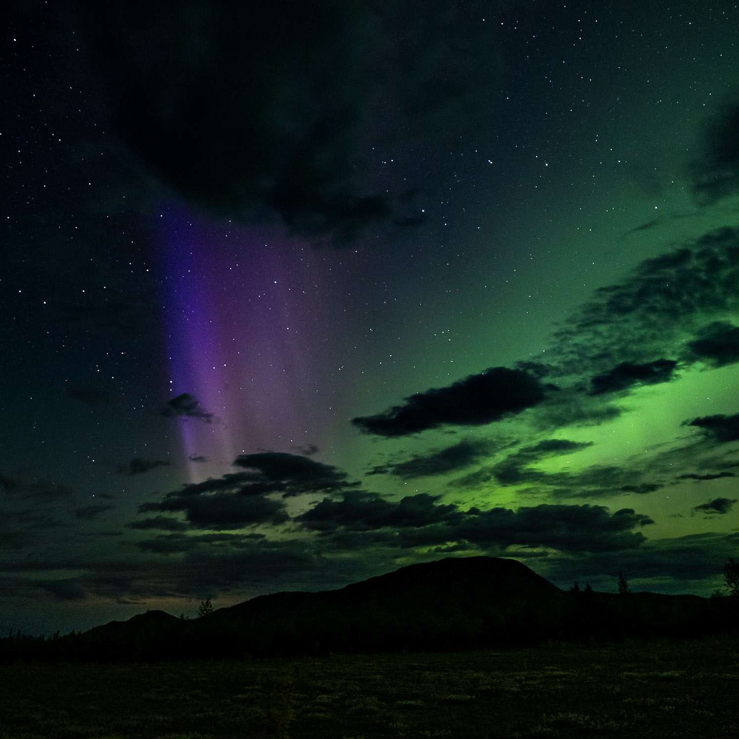 Near Delta Junction, Alaska