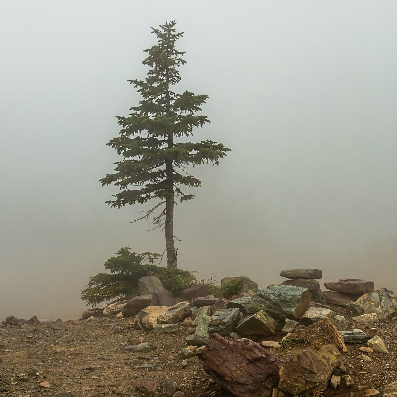 Glacier National Park