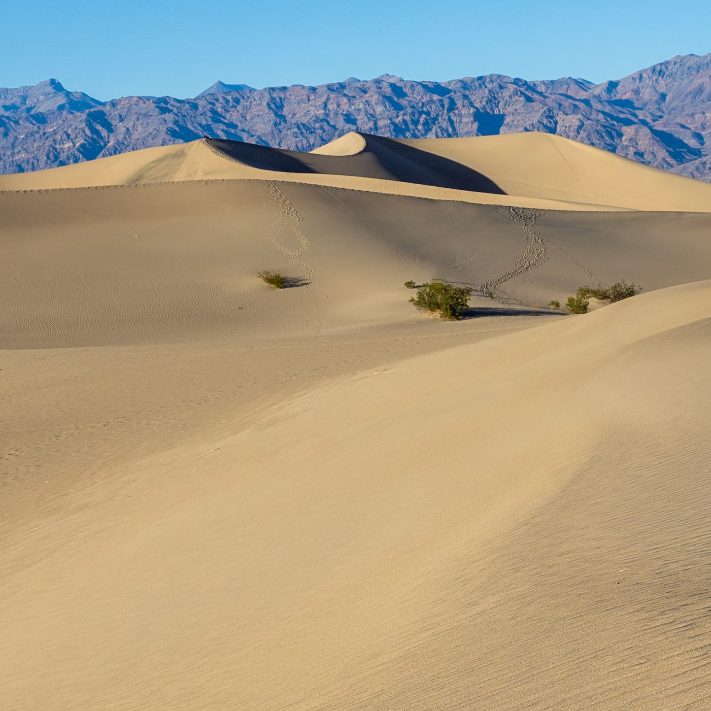 Death Valley National Park