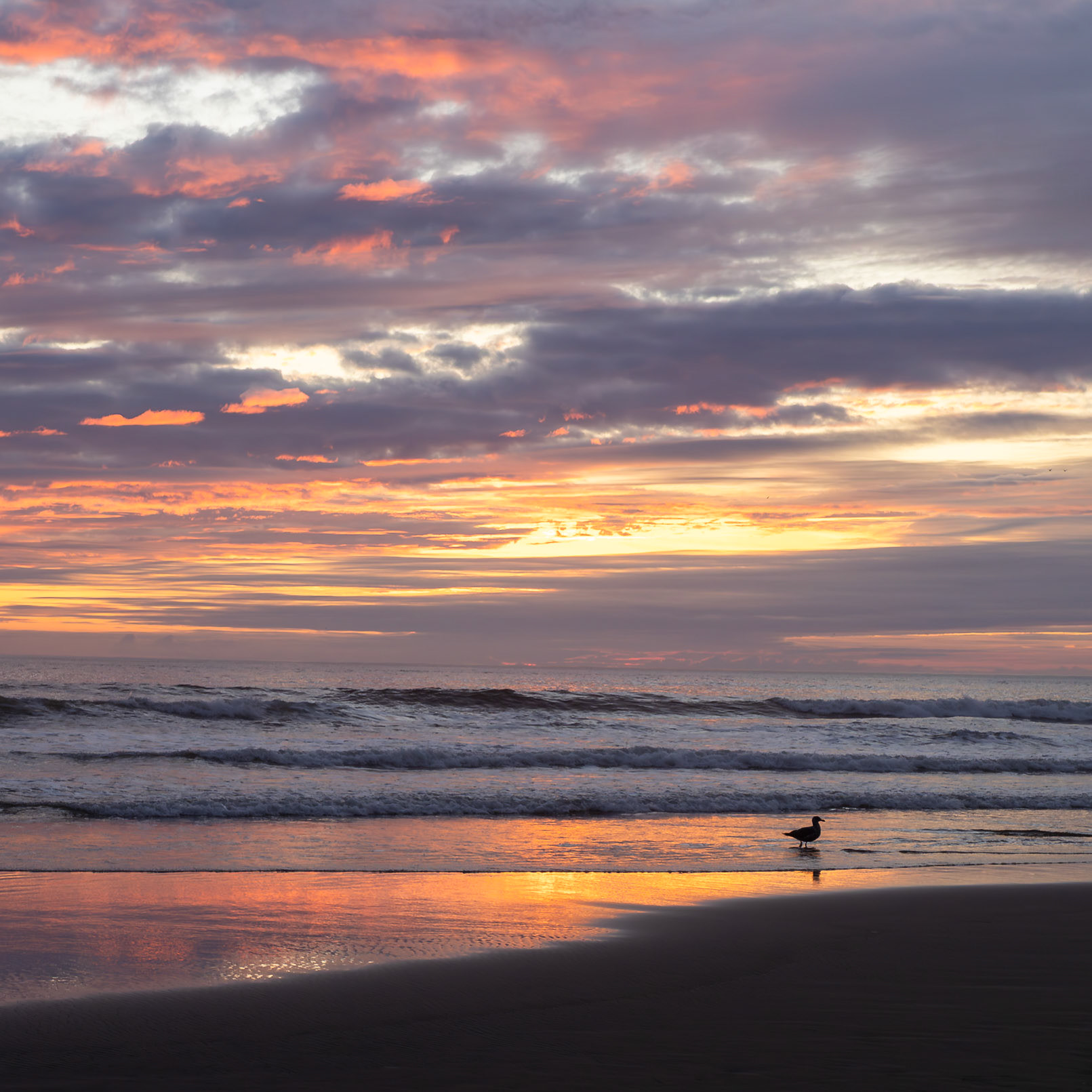 Cannon Beach, Oregon
