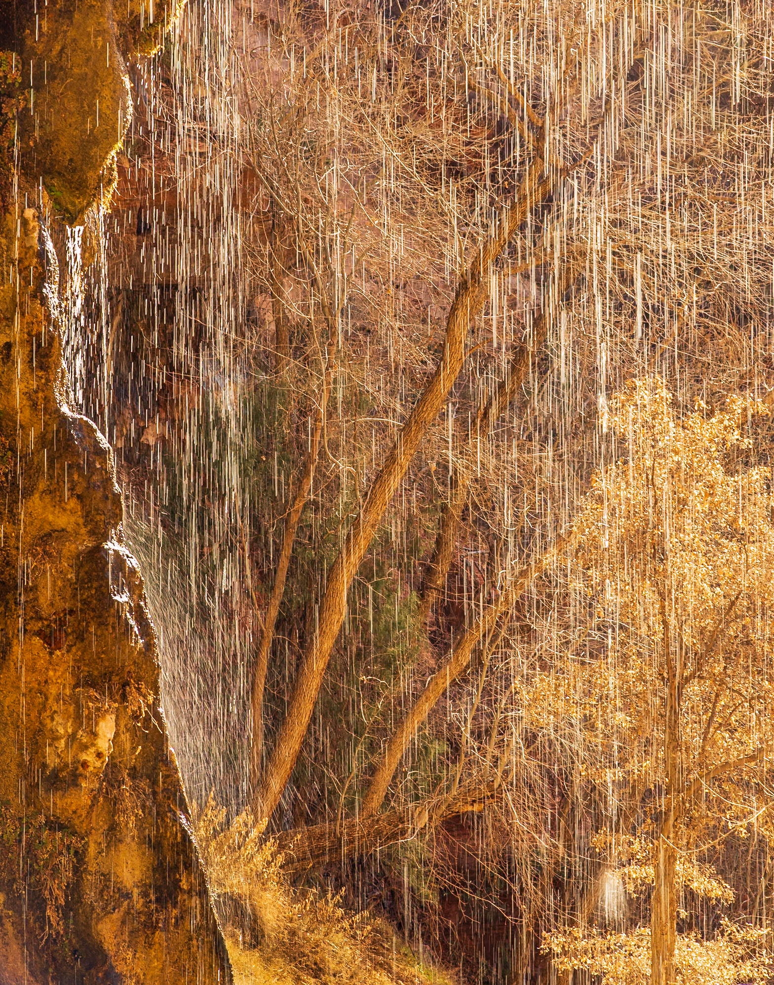 Zion National Park